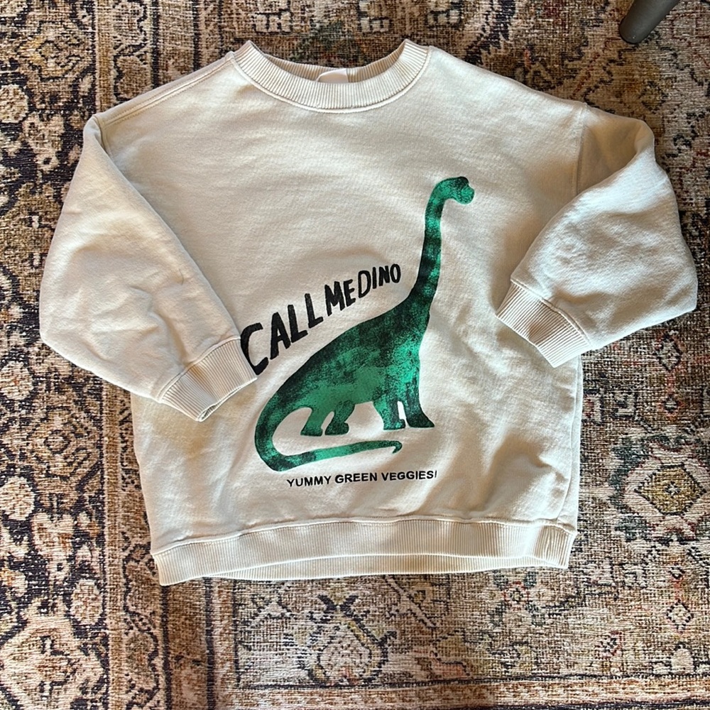 Zara Baby Boy Sweatshirt